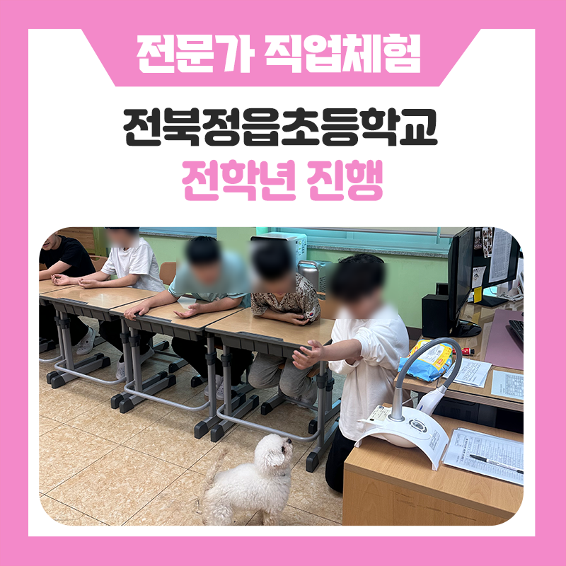 전북정읍초등학교 직업체험, 아이들이 직접 움직이며 진로를 상상해본 특별한 하루